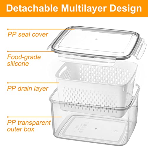 Fresh Food Storage Containers