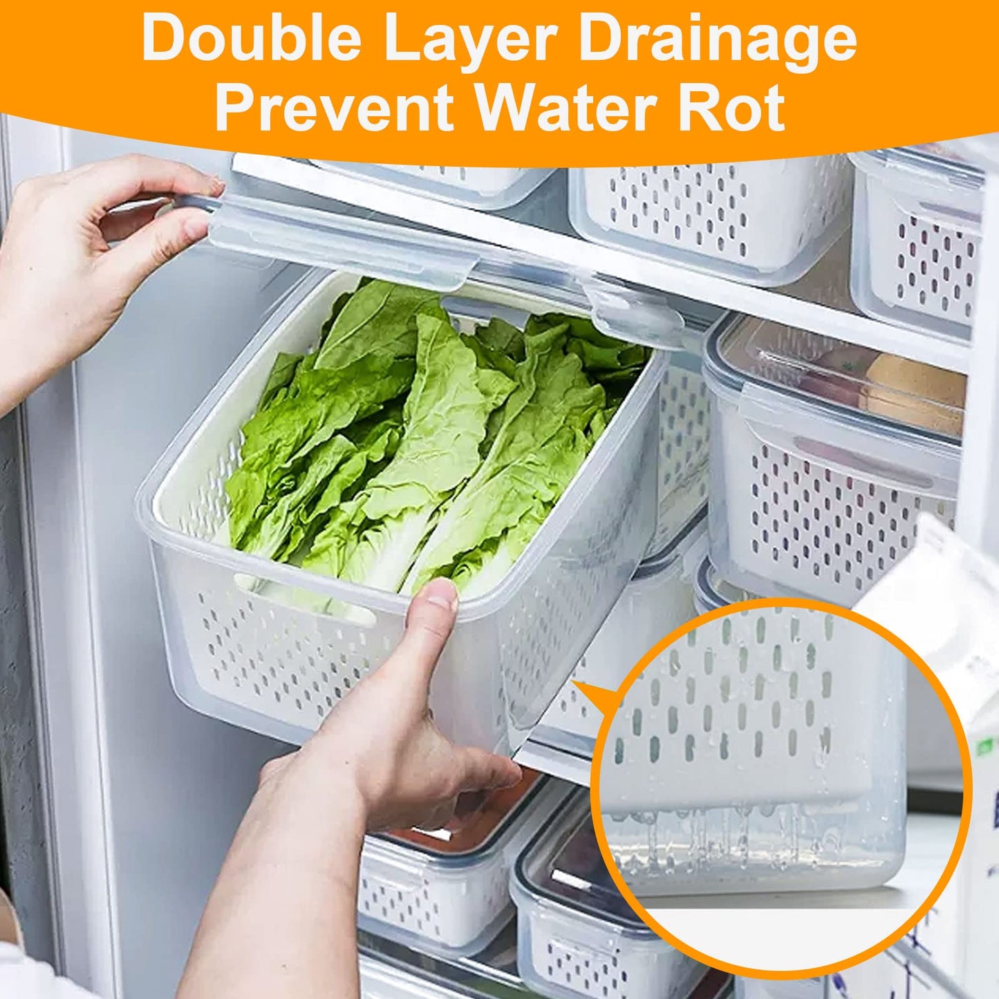 Fresh Food Storage Containers