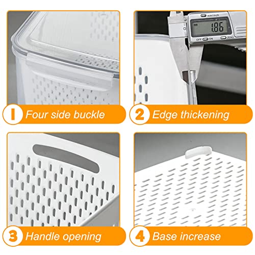Fresh Food Storage Containers