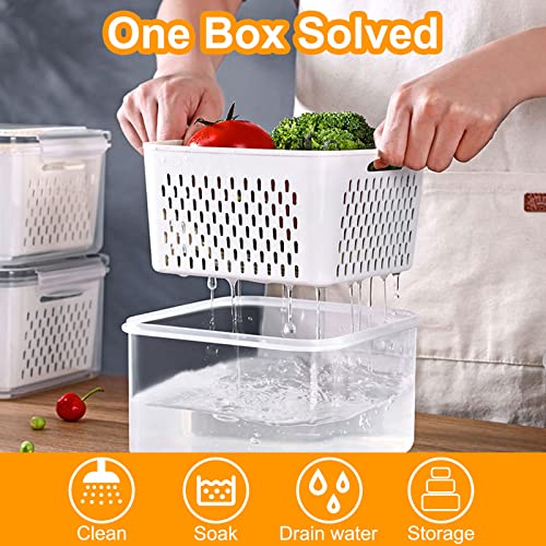 Fresh Food Storage Containers